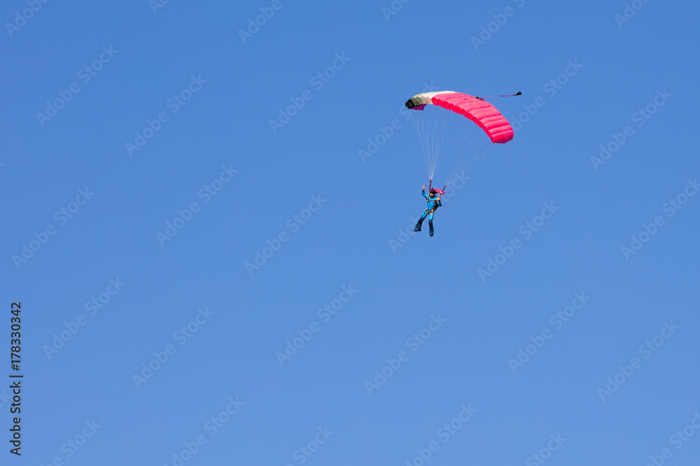 skydiver on black and pink parachute in summer day skydiver on black and pink parachute in summer day