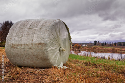 Roll Bale By The River photo