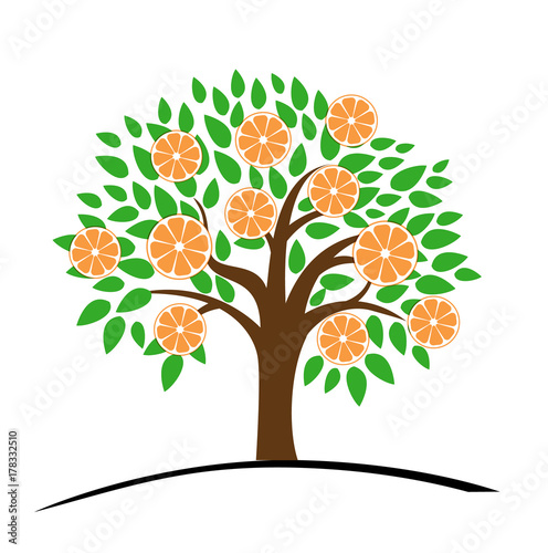 Orange or tangerine tree with green leaves. Vector illustration of a tree with ripe orange. Flat style.