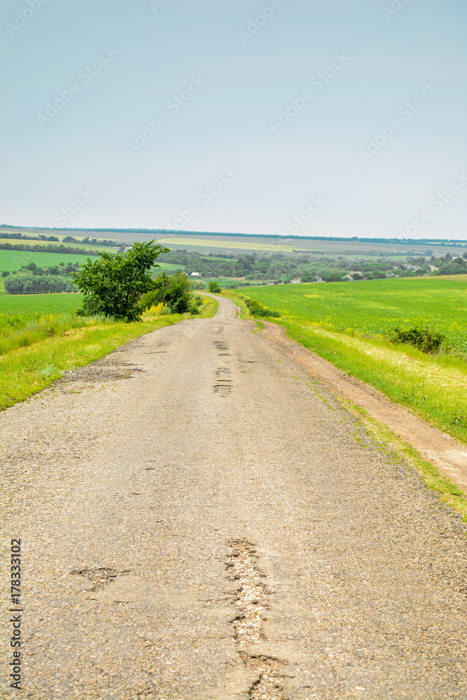 Naklejka premium Rural road. A summer rural landscape.