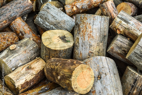 Firewood in a heap - big logs.