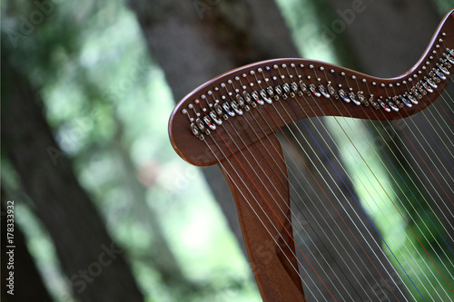 Celtic harp