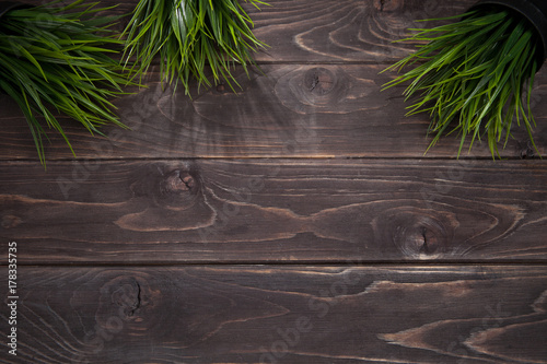 black wood background and green grass