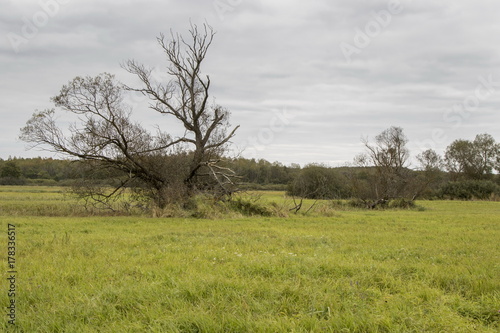 Autumn landscape, Belarus © yauhenka