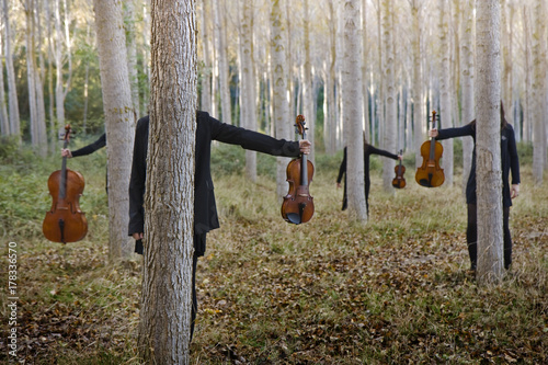 String quartet photo