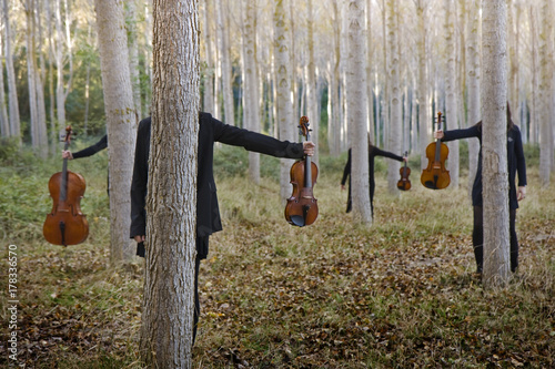 String quartet