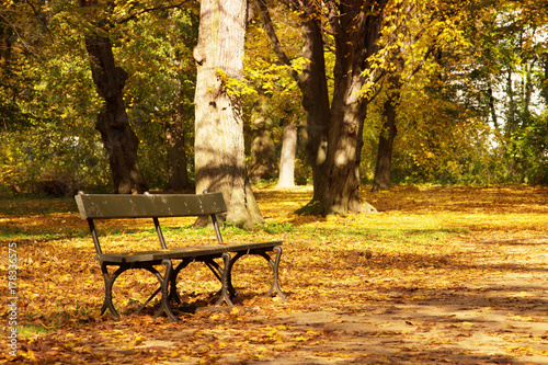 Fototapeta Naklejka Na Ścianę i Meble -  lit by the warm autumn sunshine park bench standing amidst the fallen orange leaves