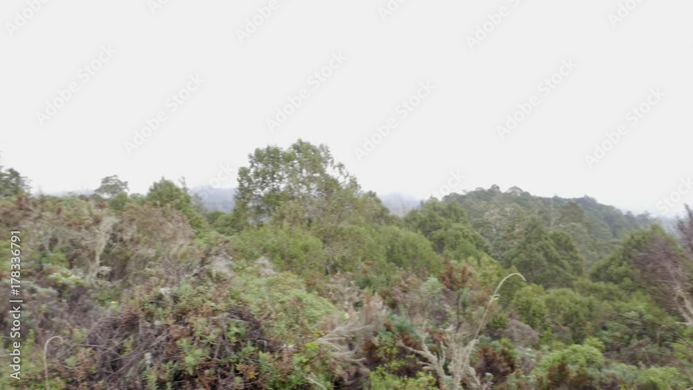 Amazing view of the Tanzanian Rainforrest Amazing view of the Tanzanian Rainforrest