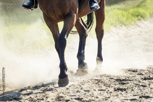 Fototapeta Naklejka Na Ścianę i Meble -  The hooves of walking horse with rider in sand dust. Shallow DOF.