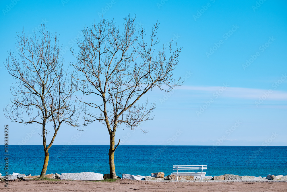 Bäume und Bank an der Ostseeküste auf Rügen Bäume und Bank an der Ostseeküste auf Rügen
