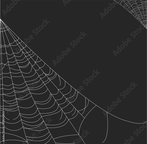 Cobweb, isolated on black. Vector illustration.