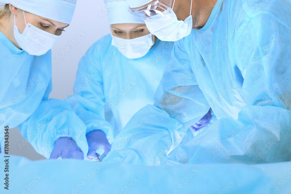 Fototapeta premium Medical team performing operation. Three of surgeons at work are busy of patient. Medicine, veterinary or healthcare and emergency in hospital