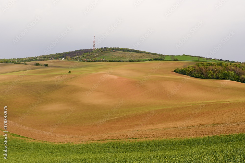 Fototapeta premium Spring landscape. Moravian Tuscany, south Moravia, Czech Republic, Europe.
