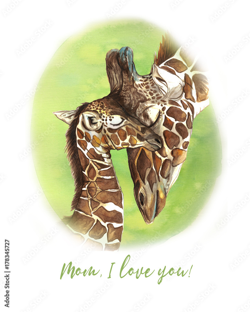 watercolor drawing of animals mammal living in Africa giraffes, mother and  child, female giraffe and cub, portrait of giraffes, care and love, maternal  instinct, sweet illustration, cartoon, theme of Stock Illustration |