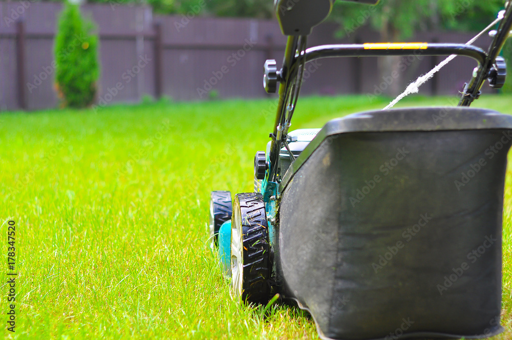 Fototapeta premium the lawn-mower on a bright juicy grass