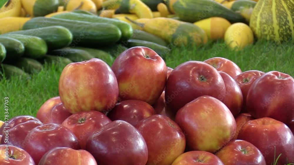 Market with fresh red apples, cucumbers, gourds, courgettes and pumpkins, high quality natural fruit and vegetables, excellent varieties, healthy nutrition for vitality Market with fresh red apples, cucumbers, gourds, courgettes and pumpkins, high quality natural fruit and vegetables, excellent varieties, healthy nutrition for vitality