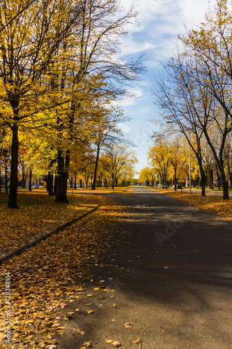 autumn town street scenic © juliedeshaies