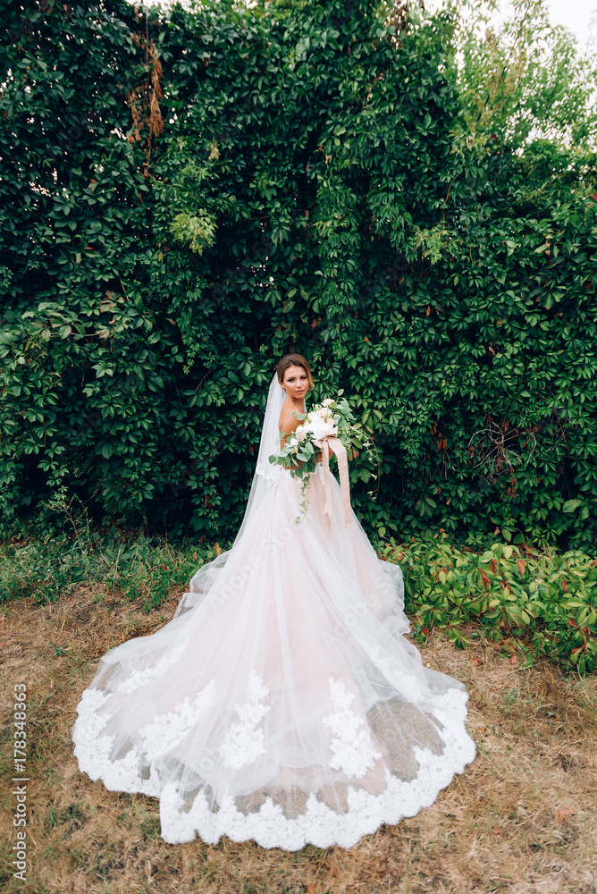 beautiful bride in a luxurious dress in eco-style beautiful bride in a luxurious dress in eco-style