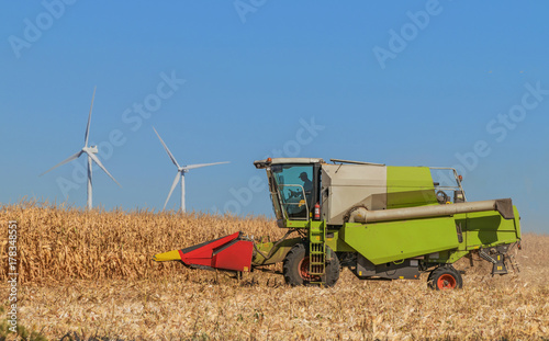 Working harvesting combine in the field of corn