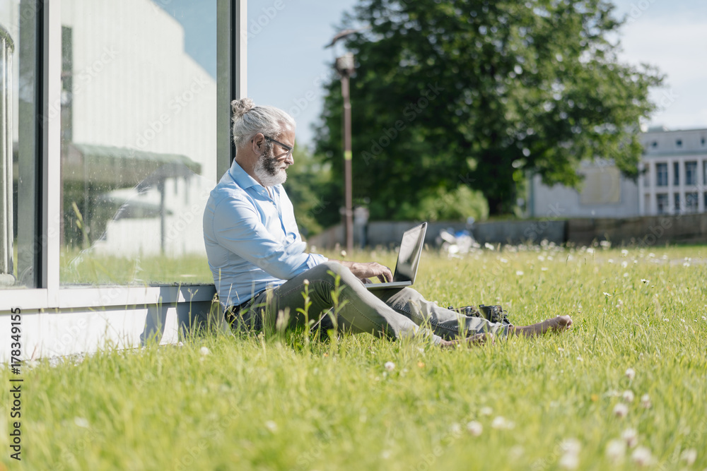 Mature man using laptop on meadow Mature man using laptop on meadow