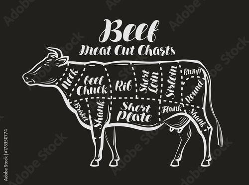 Meat cut charts. Cow, beef concept. Menu restaurant or butcher shop. Vector illustration