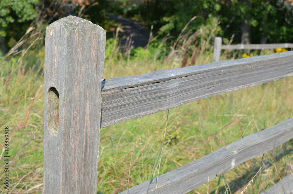 Fence in the prairie landscape