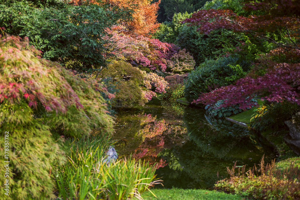 Fototapeta premium Magnificent garden in a villa in autumn, colorful leaves