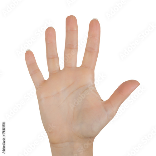 Opened Woman Hand Palm