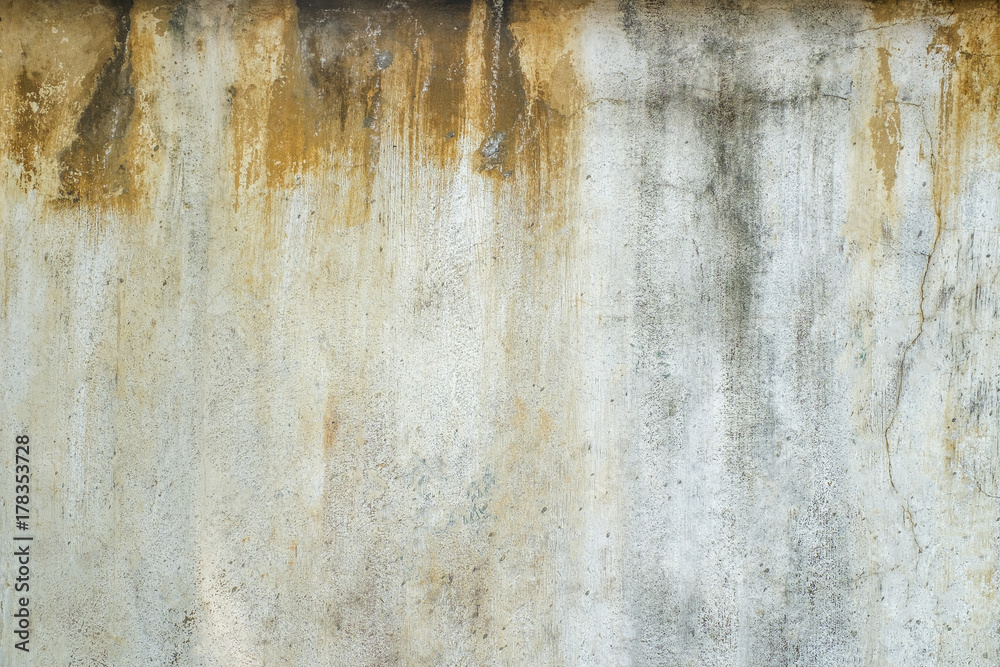 Obraz premium white background of natural cement or stone old wall texture