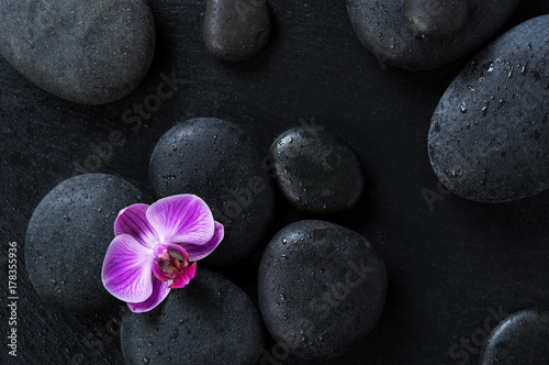 Orchid on black spa stones