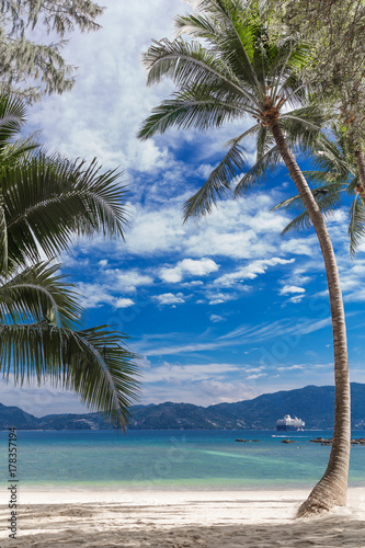 Palm on a tropic white beach