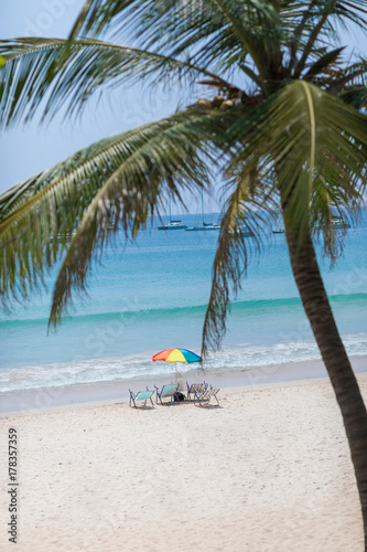 Palm on a tropic white beach