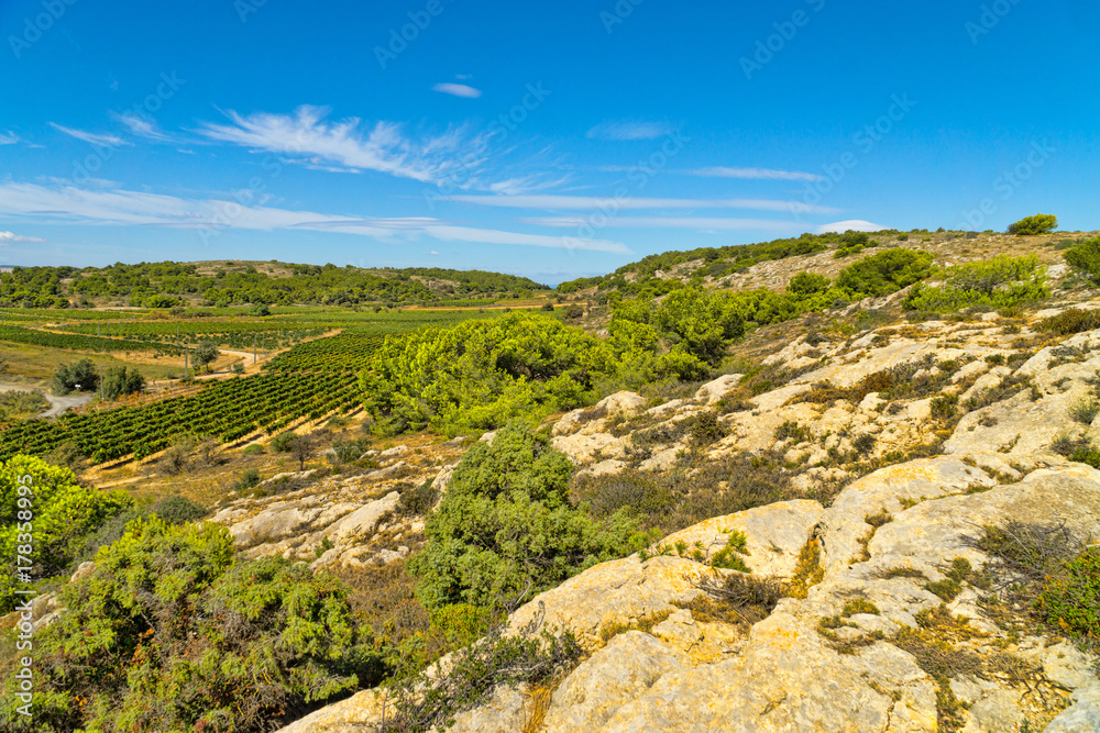 Blick in die schöne Landschaft in der Region um die kleine französische Ortschaft Gruissan mit seinen Hügeln, Felsen und Weinreben in Südfrankreich