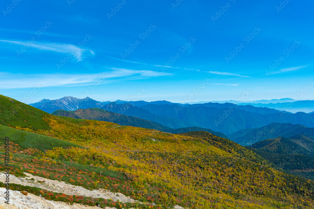 Fototapeta premium 秋の乗鞍