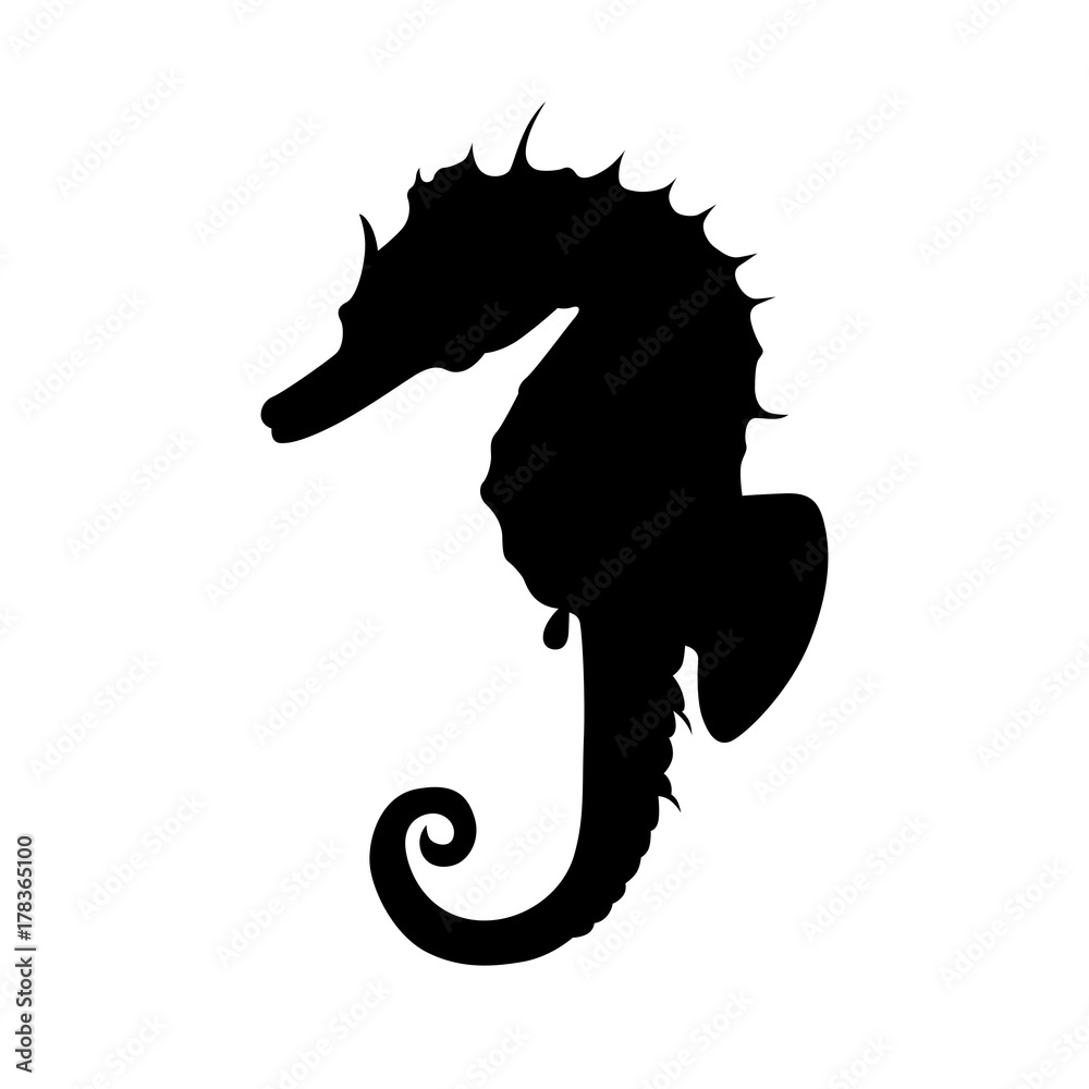 Seahorse, shade picture Seahorse, shade picture
