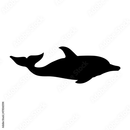 Dolphin, shade picture