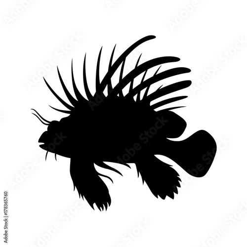 Lionfish, shade picture
