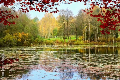 jesień nad leśnym jeziorem