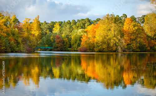 Image of autumn trees and pond