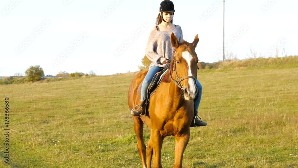 Young woman riding a horse in the countryside. Equestrian sport Young woman riding a horse in the countryside. Equestrian sport