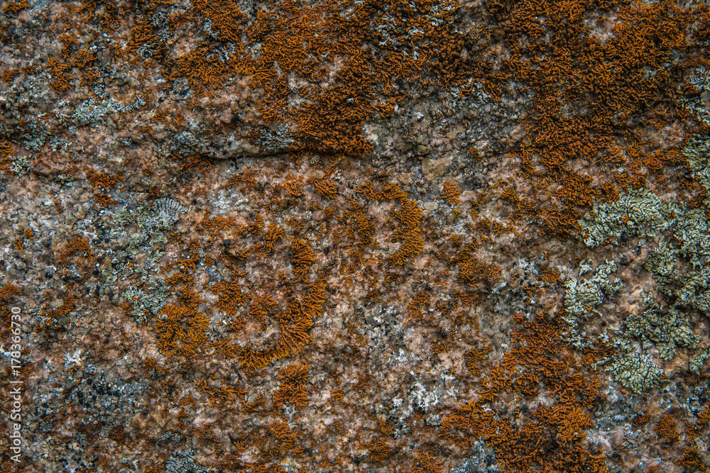 Stone texture. Pattern texture of nature. Seamless stone texture Stone texture. Pattern texture of nature. Seamless stone texture