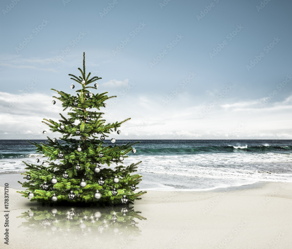 Weihnachtsbaum am Strand foto de Stock Adobe Stock