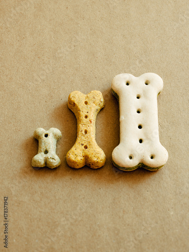 Three bone shaped dry pet doog food in diverse colors and size on a cardboard box photo