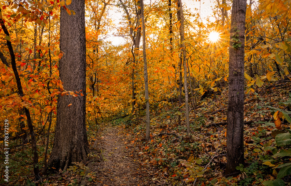 Obraz premium Sunny fall day