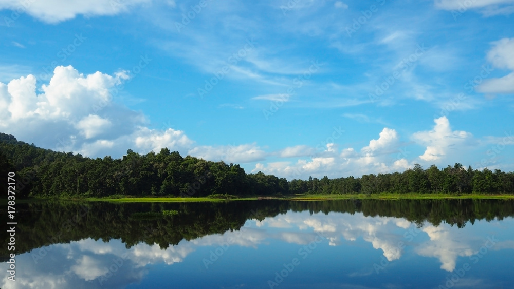 Landscape green trees forest with blue sky white cloud and reflection on Lake, soft focus for nature background Landscape green trees forest with blue sky white cloud and reflection on Lake, soft focus for nature background
