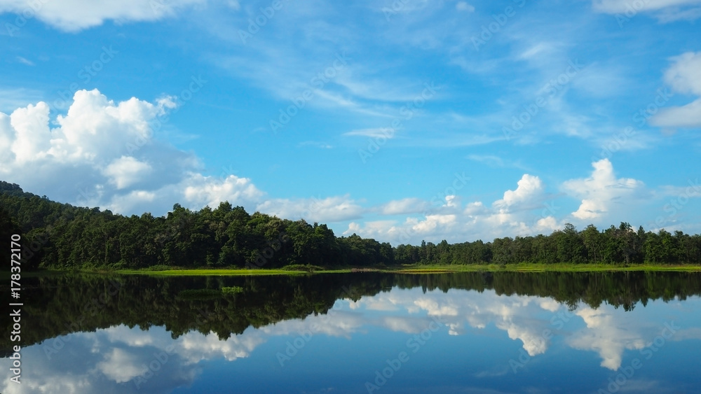 Landscape green trees forest with blue sky white cloud and reflection on Lake, soft focus for nature background