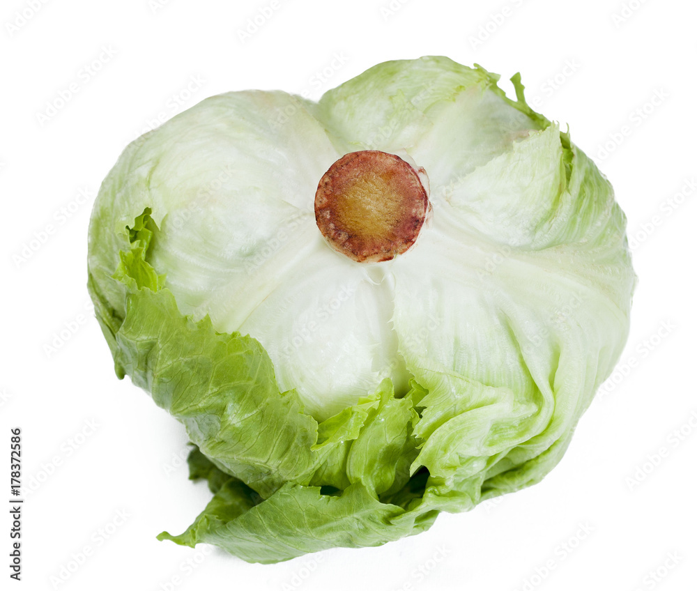 Obraz premium Green cabbage isolated on white background