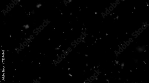 Christmas Morning Snow Falling Away- Super Slow - Medium Shot - Loop - Alpha Channel	