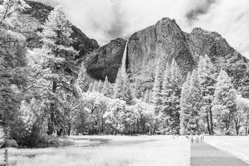 Yosemite Falls in Infrared in Yosemite National Park