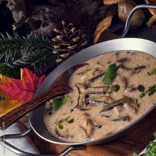 Tasty mushroom sauce photo